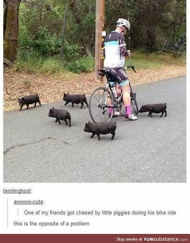 Being chased by piggies is the opposite of a problem