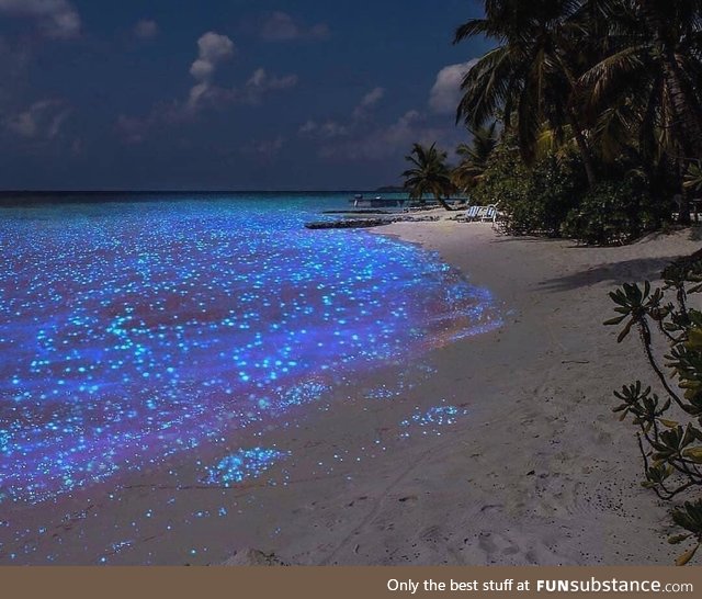 Sea Sparkle...A magical shot of the bio luminescent display at the beach