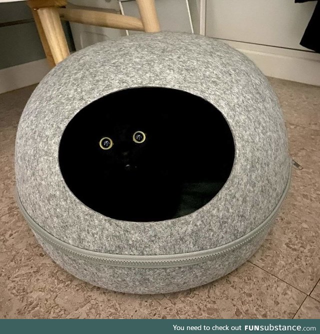 Vantablack has become self aware!