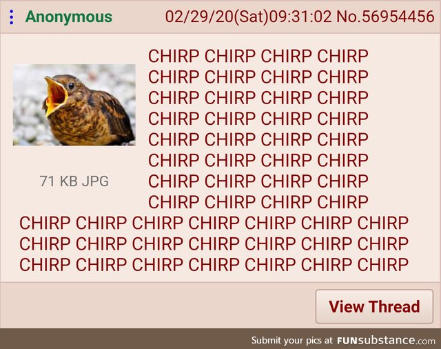 Chirp chirp