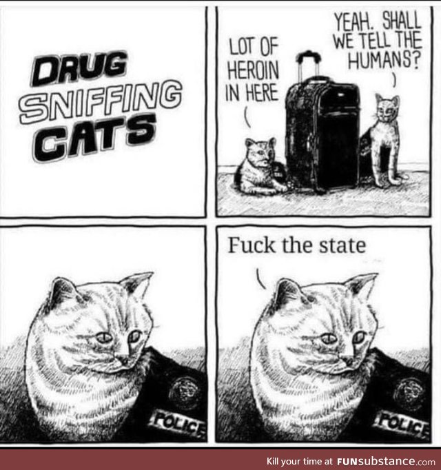 Drug sniffing cats!