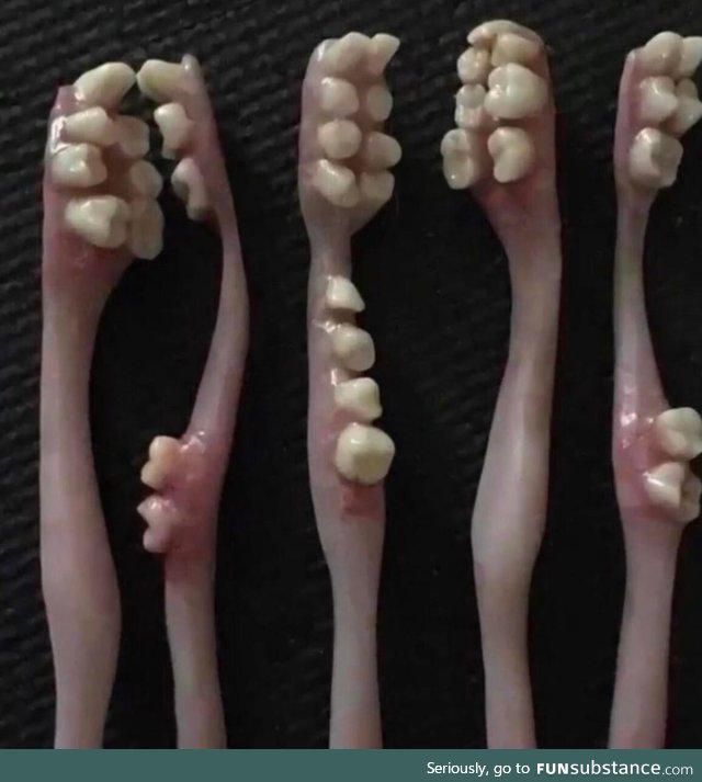 Cursed Toothbrush