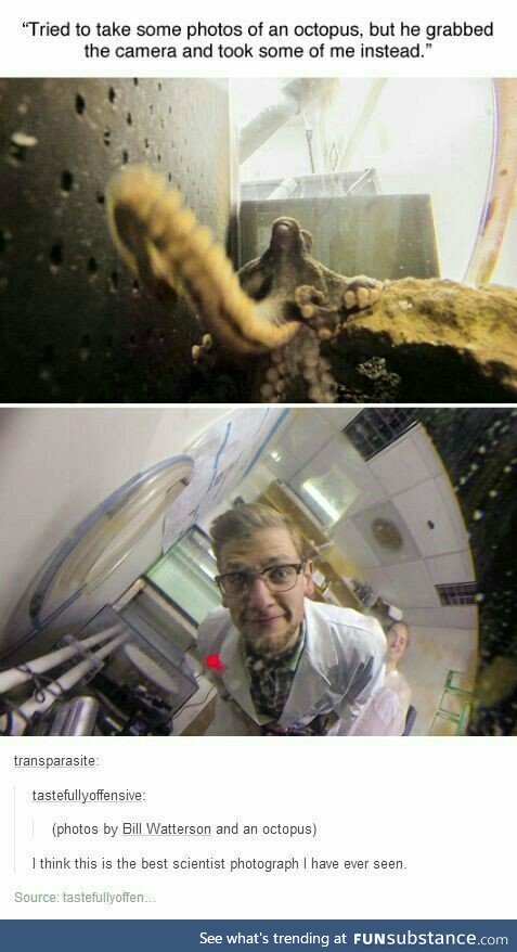 Scientist taking pictures of Octopus Taking Pictures of