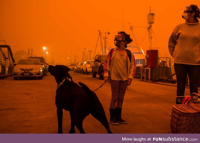Australia right now looks like some sort of post-apocalyptic movie