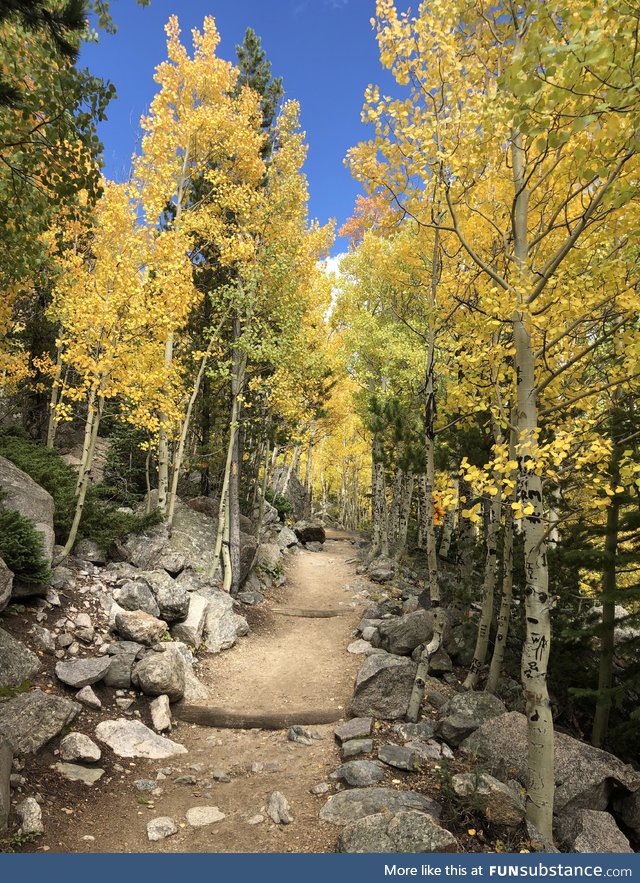 Beautiful colors on the bear lake trailhead in Rocky Mountain National Park