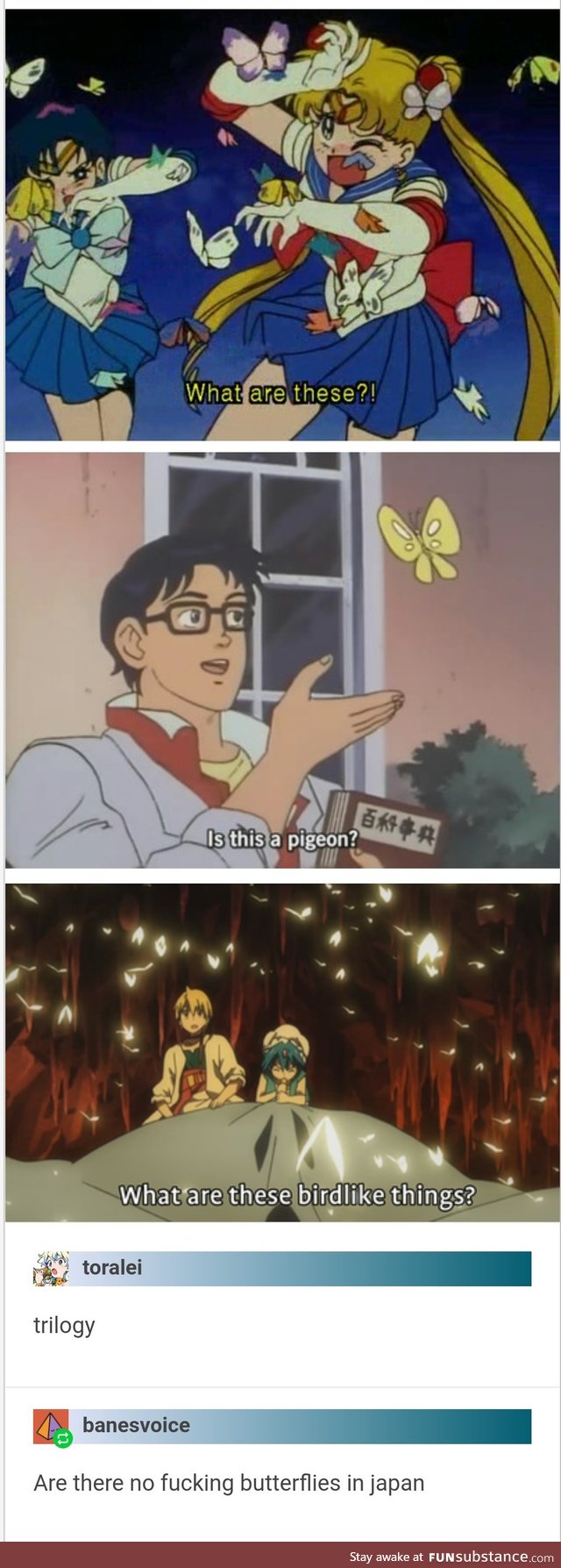 There are no butterflies in Japan