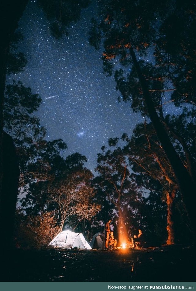 Catching a shooting star on a clear camping night