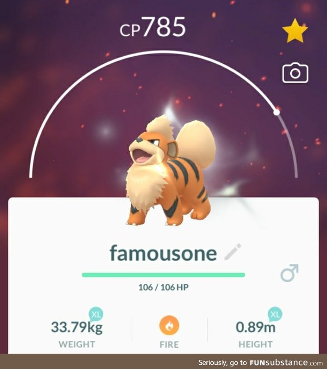 PoGo Project #67 - Rare Pupper