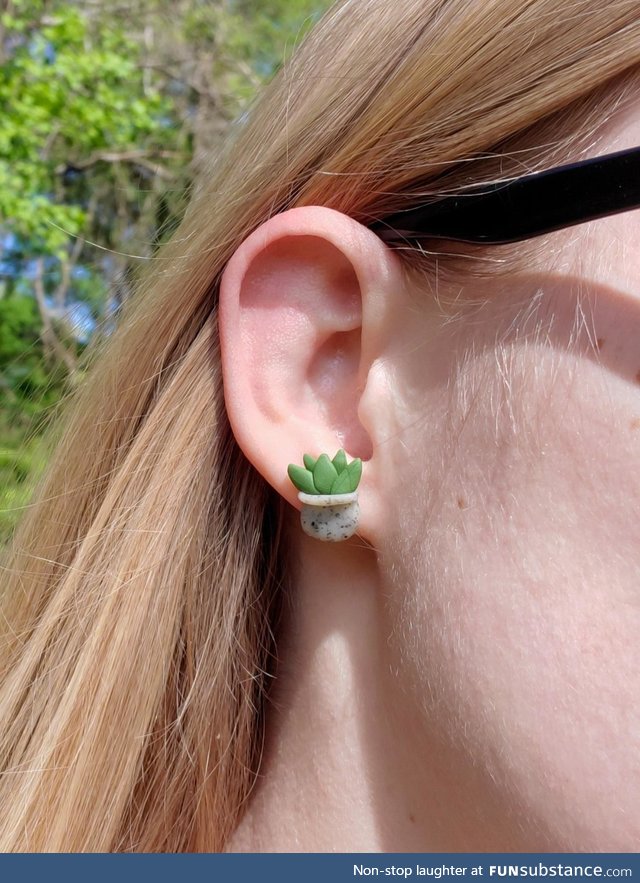 My hand sculpted succulent earrings I made for my shop????