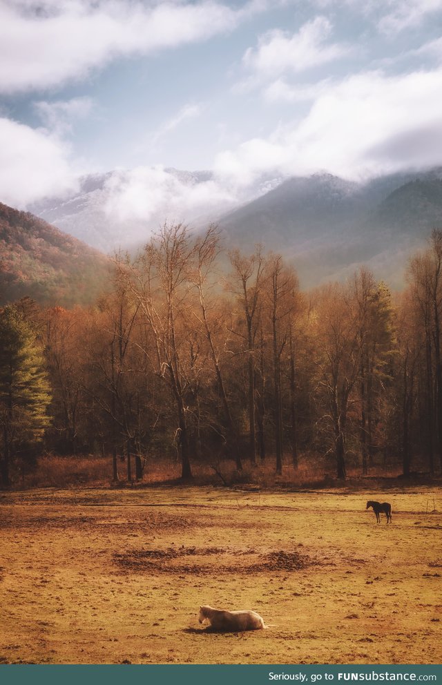 Cades cove - great smoky mountains [oc]