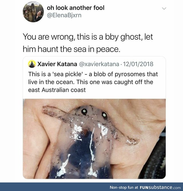 It's a baby ghost