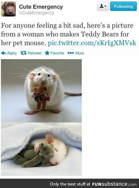 Mouse TeddyBears