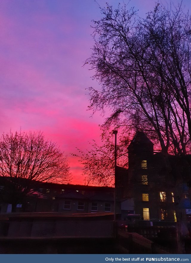 Saw this magical colour in the sky this morning