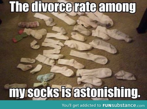 The divorce rate