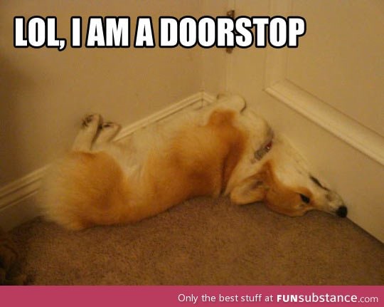 Doorstop dog