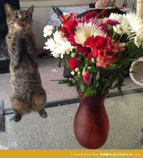 Flowers for me?!