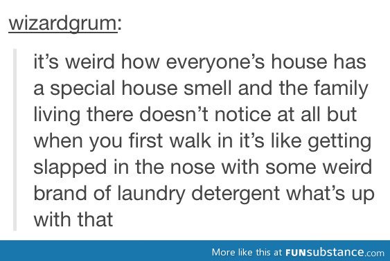 Special house smell