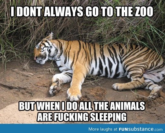 Every time I go to the zoo