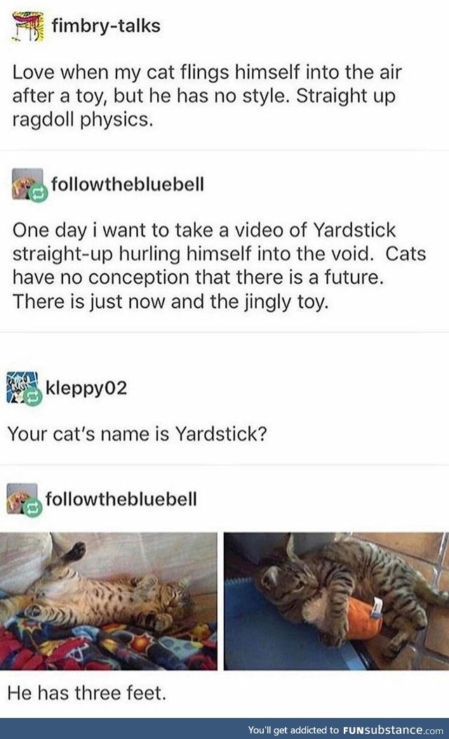 Cats, Yardsticks, and Ragdoll Physics