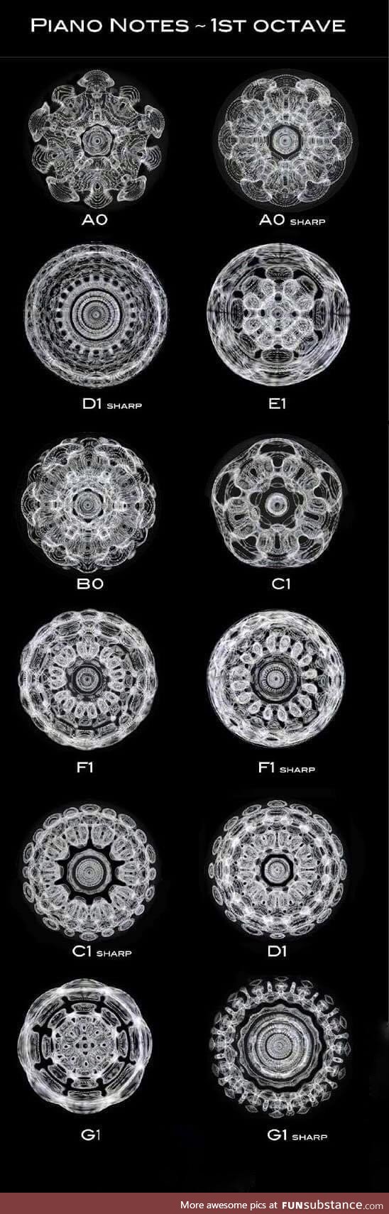 How piano notes reverberate through a bowl of water