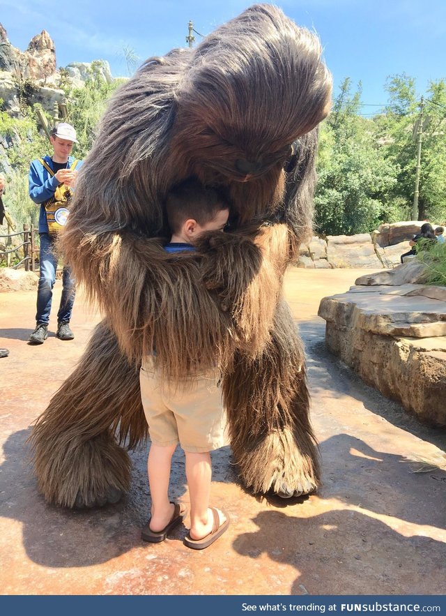 My son meeting Chewbacca for his 3rd Birthday