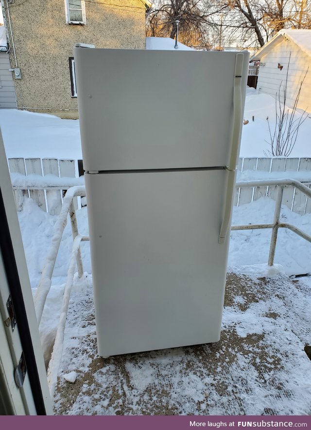 So, this is my fridge.