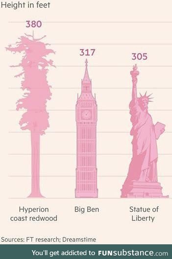 The Hyperion Coast Redwood seems pretty tall, relatively