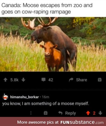 Hide your cows