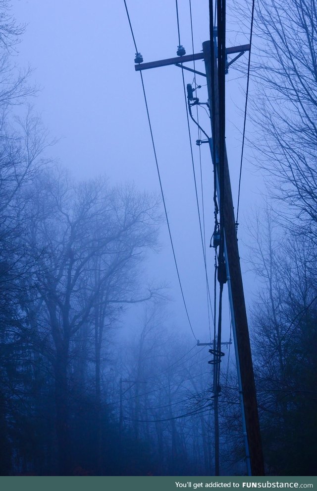Fog makes me feel something ! I took this on my road