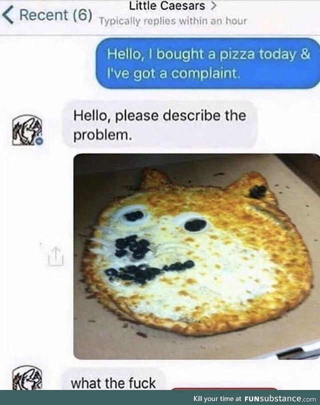 Doge pizza