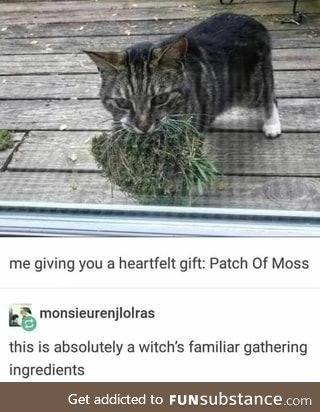 A heartfelt patch of moss for those familiar with witches