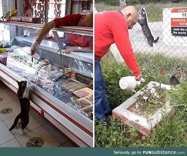This Turkish butcher used to feed a stray cat. The cat has past away and he has gotten a
