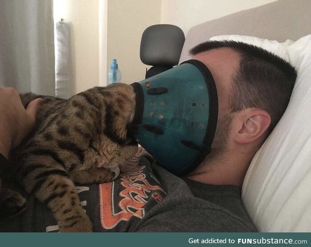 Now it is our cone of shame, comrade. - Gato, probably