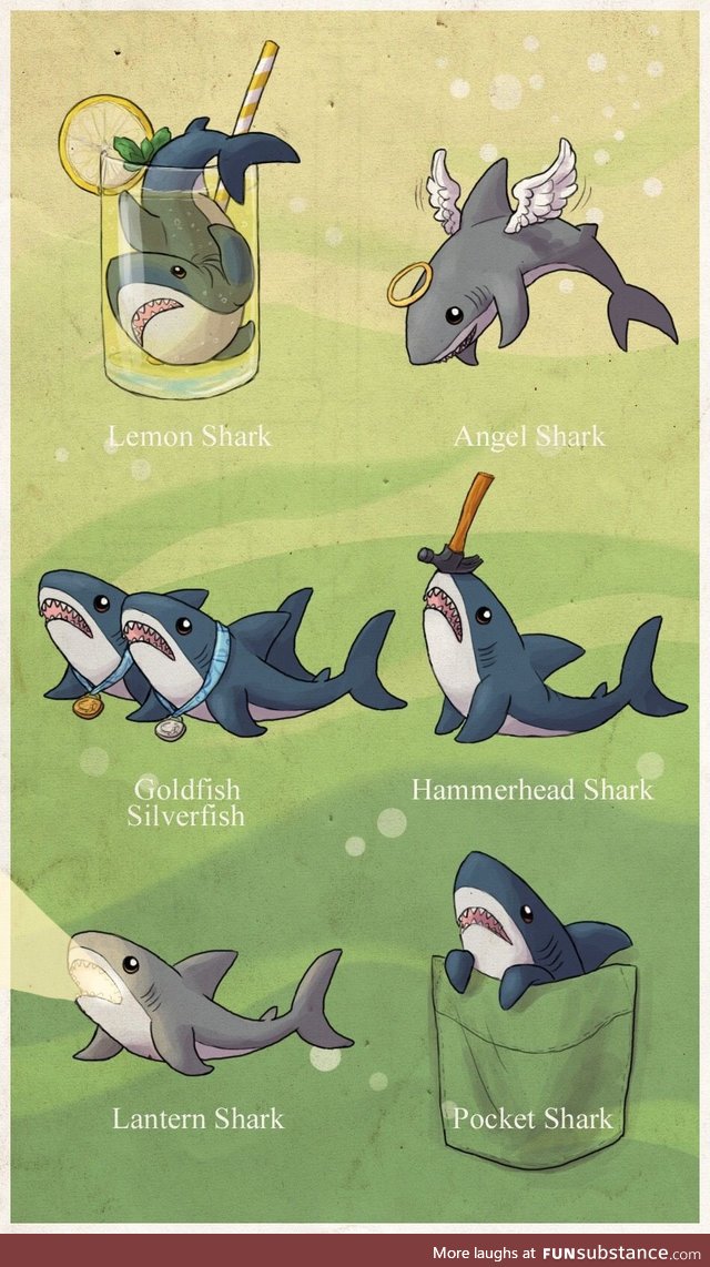 Different types of sharks
