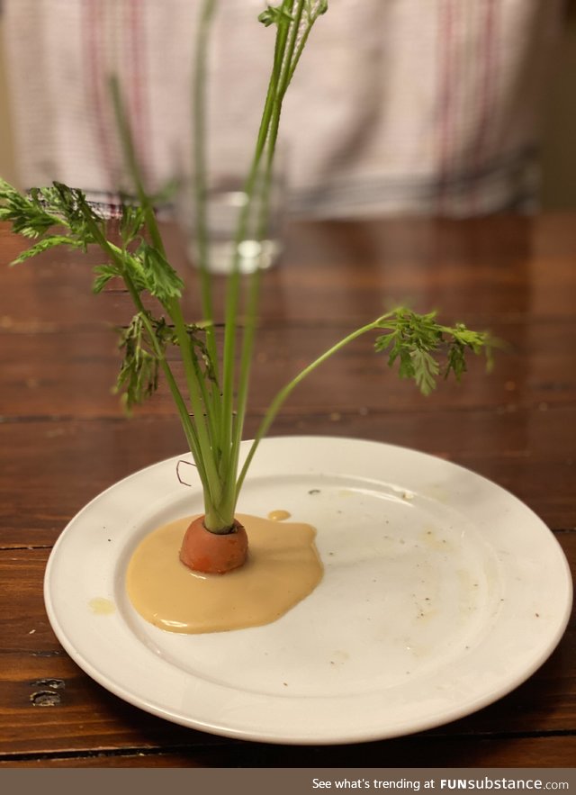 I stuffed a carrot into some sauce I saw on a plate. Why does this also look like a