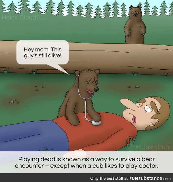 Playing dead with bears