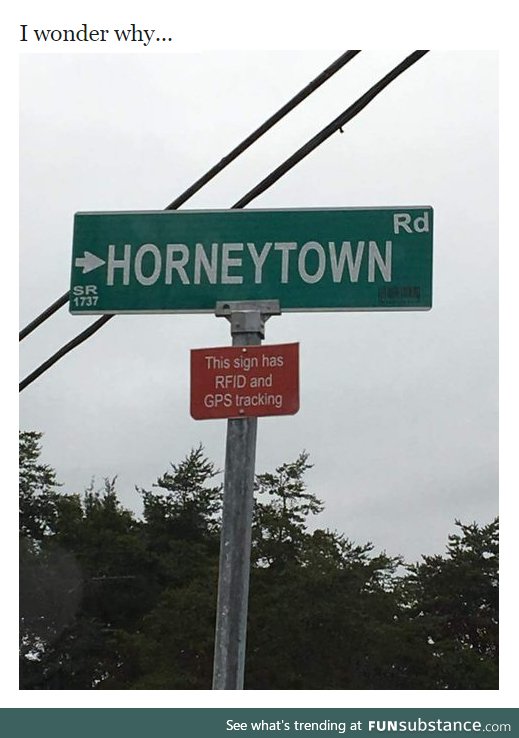 HorneyTown
