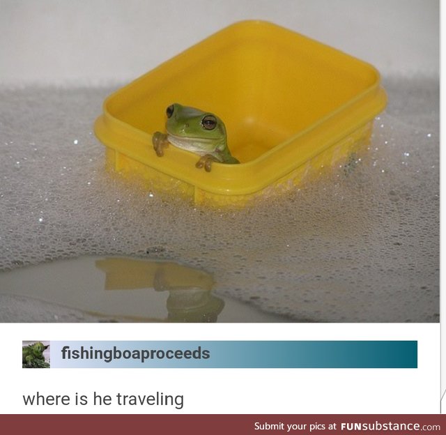 Frog in a Bucket in a Bath in a Tub