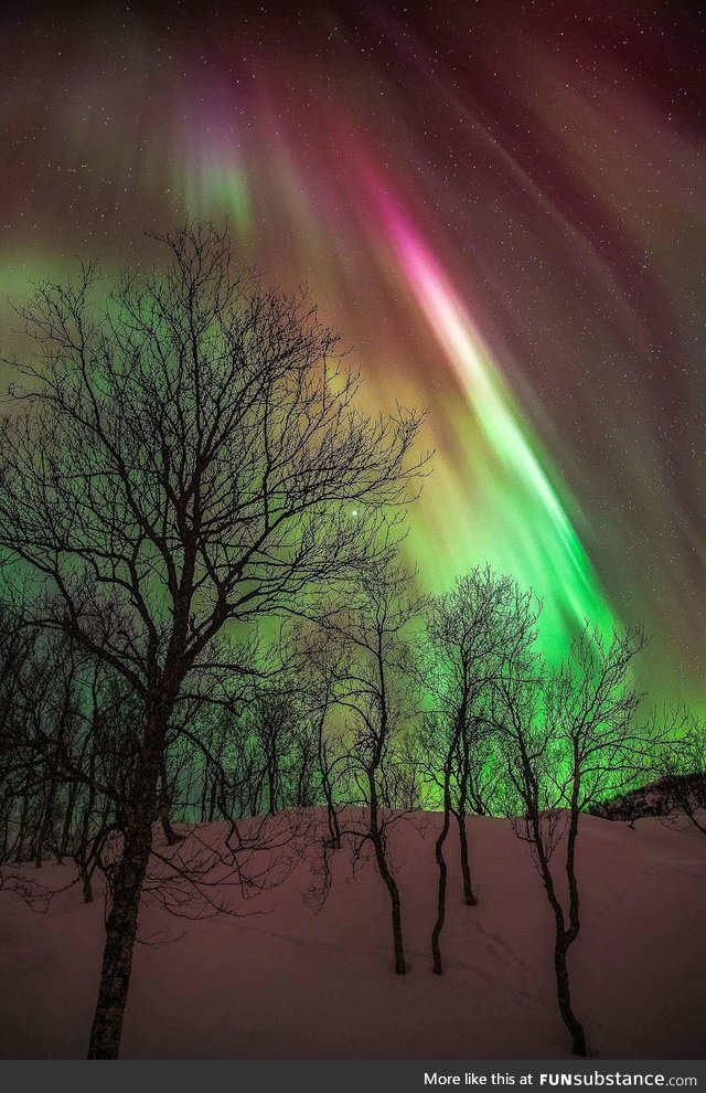 Beautiful aurora