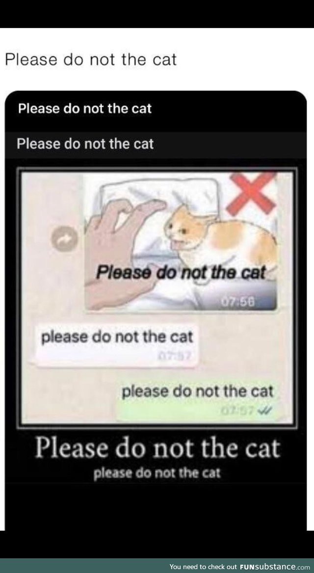 Please do not the cat