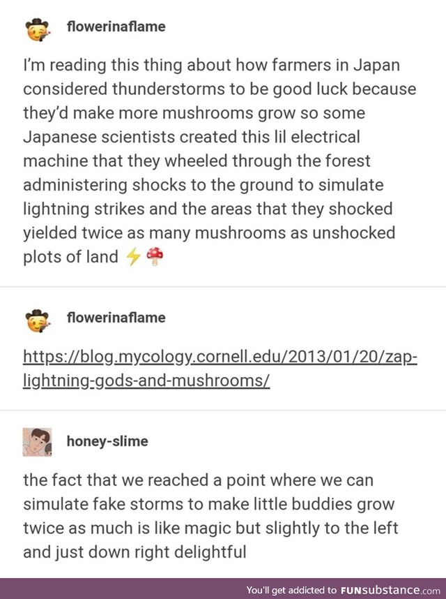 Thor, god of mushrooms