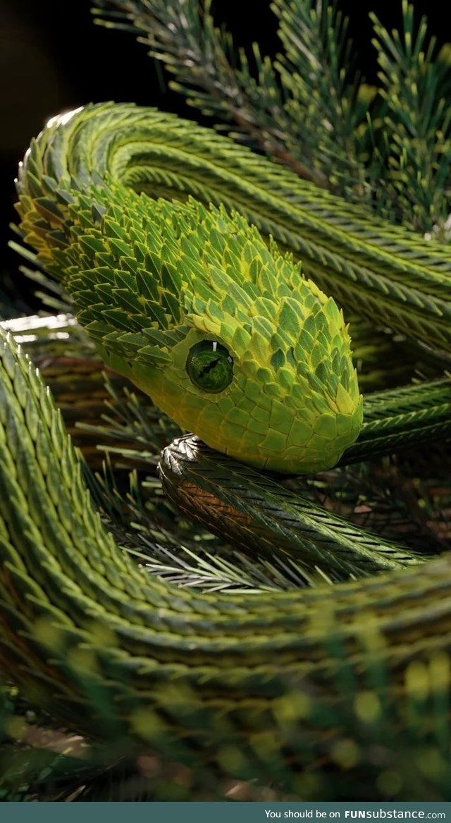 Slithering emerald snake