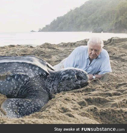 Sir David Attenborough with a giant leatherback sea turtle on the beach