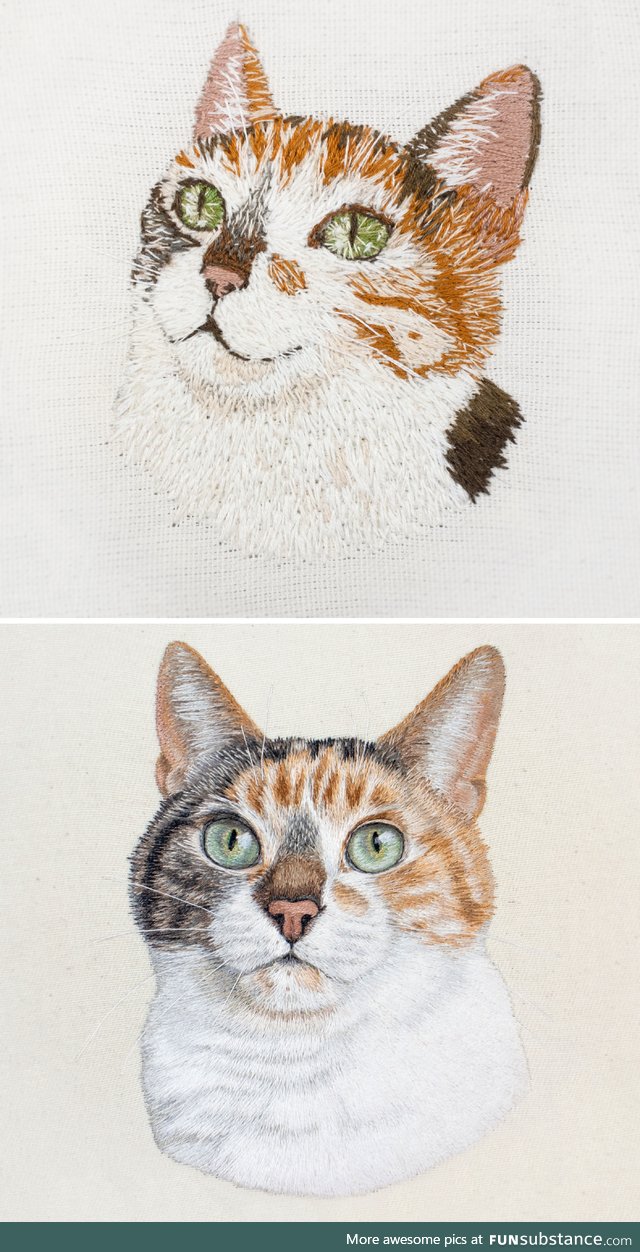 A comparison of how my hand embroidery skills grew from 2014 to 2020!