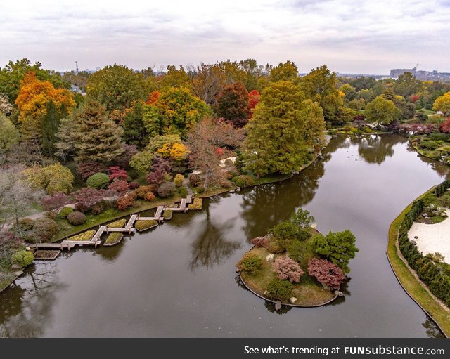 Fall colors in the Missouri Botanical Gardens