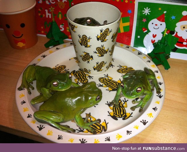 Froggo Fun #325 - Traditional Xmas Snack and Beverage