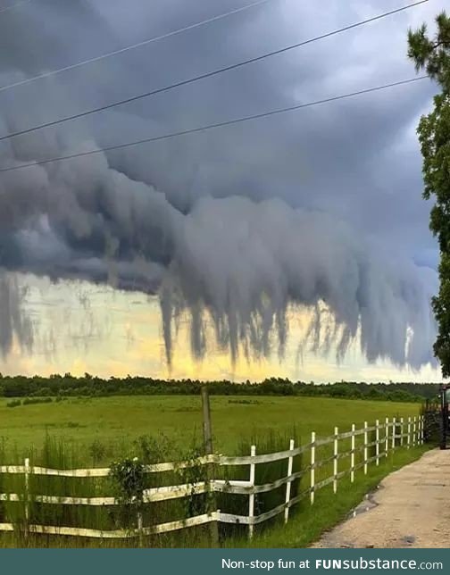 These creepy looking clouds are called scud clouds