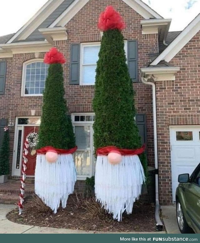 Neighbors taking this whole Christmas gnome trend overboard