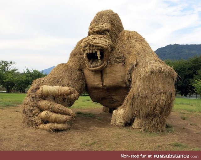 Giant straw gorilla in Japanese rice fields after harvest