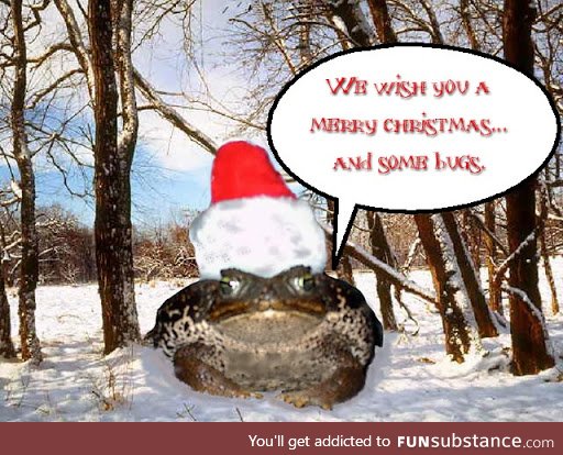 Froggo Fun #328 - Eli the Santa Toad Returns